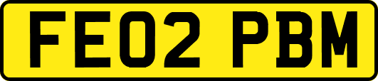 FE02PBM