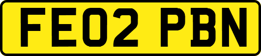 FE02PBN