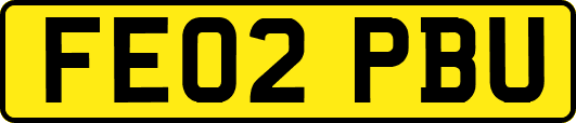 FE02PBU