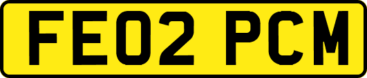 FE02PCM