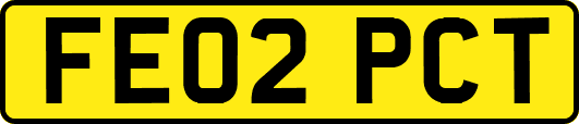 FE02PCT