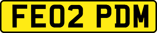 FE02PDM