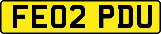FE02PDU