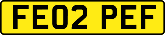 FE02PEF