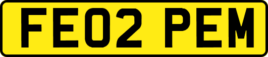 FE02PEM