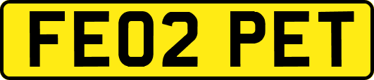 FE02PET