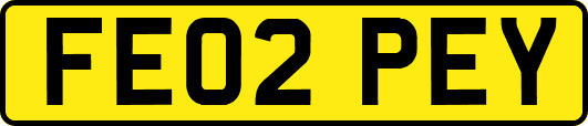 FE02PEY