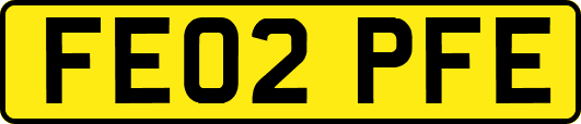 FE02PFE