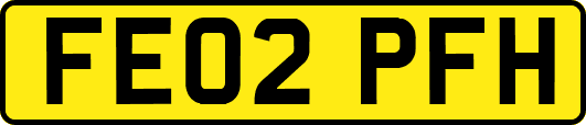 FE02PFH