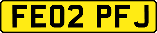 FE02PFJ