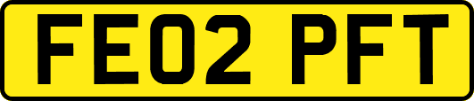 FE02PFT