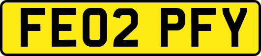FE02PFY