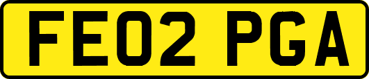 FE02PGA