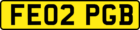 FE02PGB