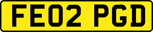 FE02PGD