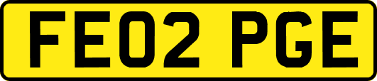 FE02PGE
