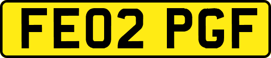 FE02PGF