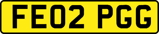 FE02PGG