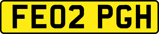 FE02PGH