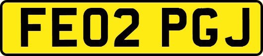 FE02PGJ