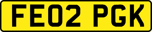 FE02PGK