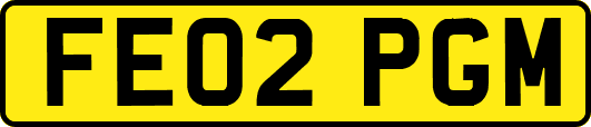 FE02PGM