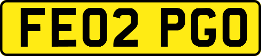 FE02PGO