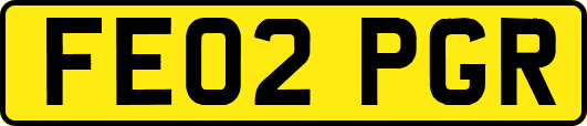 FE02PGR