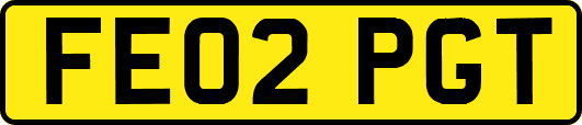 FE02PGT