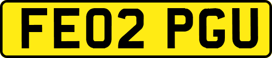 FE02PGU