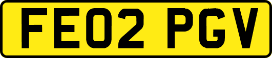 FE02PGV