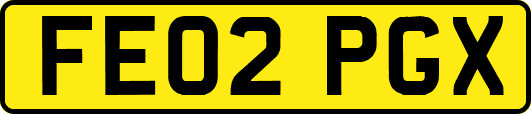 FE02PGX