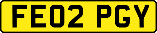 FE02PGY