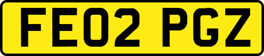 FE02PGZ