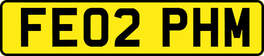 FE02PHM
