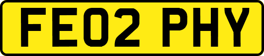 FE02PHY