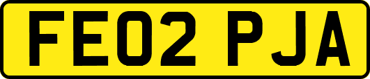 FE02PJA
