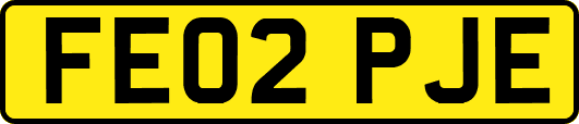 FE02PJE