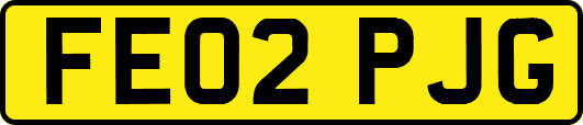 FE02PJG