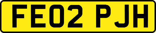 FE02PJH