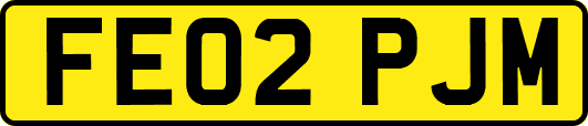 FE02PJM