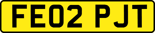 FE02PJT