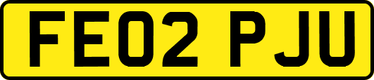 FE02PJU