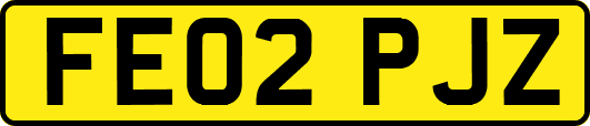 FE02PJZ