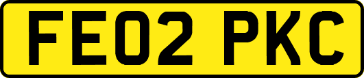 FE02PKC