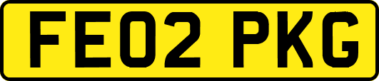 FE02PKG