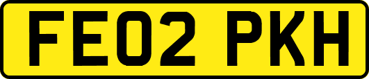 FE02PKH