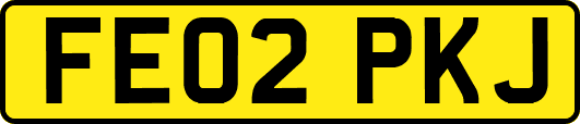 FE02PKJ