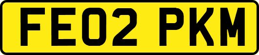 FE02PKM