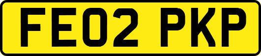 FE02PKP